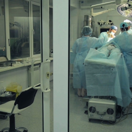 Елена Гавриленко