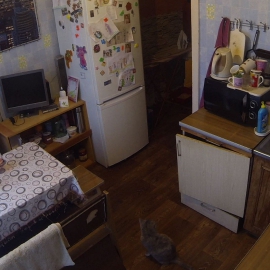 Елена Гавриленко